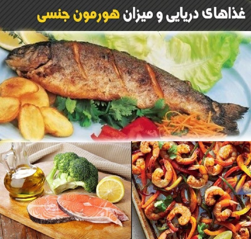 دکتر زناشویی: 🟢غذاهای دریایی مانند میگو، صدف و جلبک دریایی سرشار از منگنز است.بدین معنی که میزان هورمون های جنسی را در بدن بالا میبرند