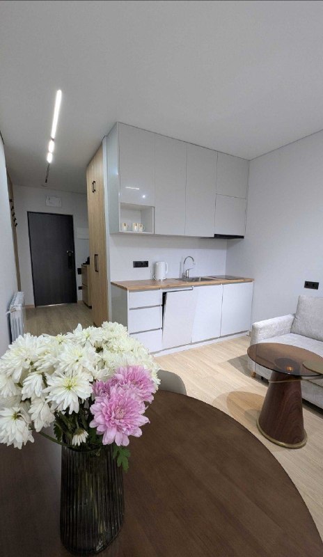 #сдам | СТУДИЯ | Аллея Героев — фото 1