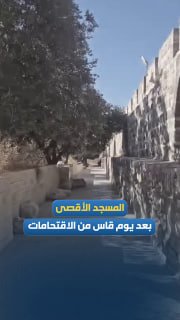 רשת חדשות ירושלים