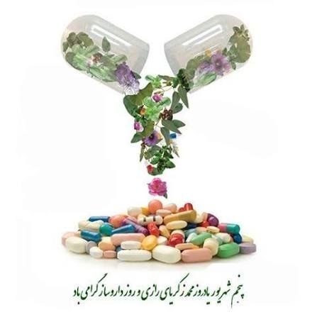 خیریه حضرت ابوالفضل(ع) دهق: رسانه پست