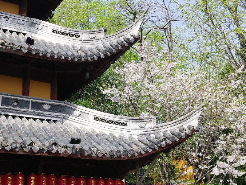 以前不知道上海有座漂亮的寺庙龙华寺以前不知道上海有座漂亮的寺庙龙华寺