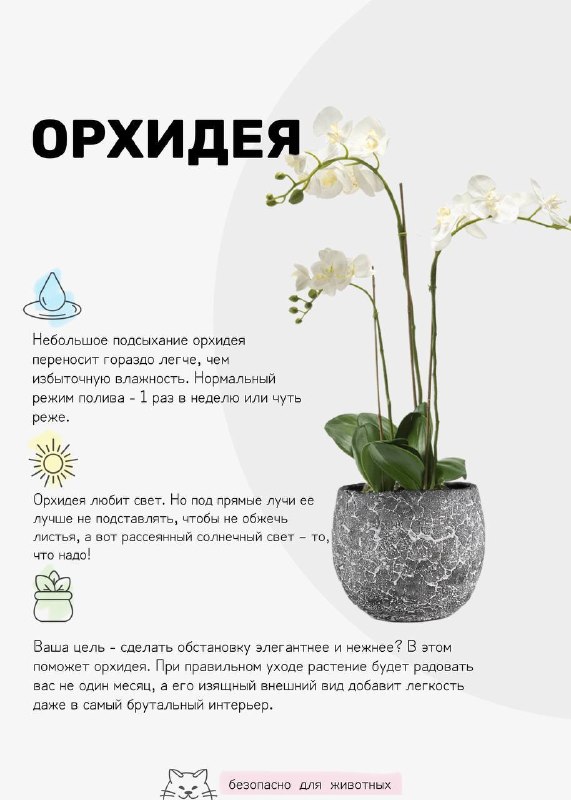  | Декор Интерьер Дизайн - изображение 6 - 