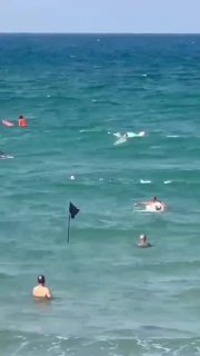 PV49g-j_zp2akiKrk_X4AFBUCzWcatnAWl0TAj7gtHAWqOnzfrB26DEjMNDknOD2hQOZNYPUyqnwnNHNuKQAwMB3cUYSp9YpWpa-q_Qcpy4pIuaMegQDAgDx5DgRw4c6Q6alBczOsfyOrAfE7jo1rSQTn4yvdzEdcR59Yvghu-QfSh4f5u51wZr9msRbgpgpMpBSu8VyNmzz80dFgxZ2qtkVpU1PqBKhUE-0vDOQkYsmevUiFdVc1yKJPMVODtlwzRkyLf_z6vswxvv9CYqW-q3DG2kcV4IQ5KncIj57o-Eu1DRCXFHbxk9HjoYLKb4RLUGrpQO_tT9N1wYACIYexA