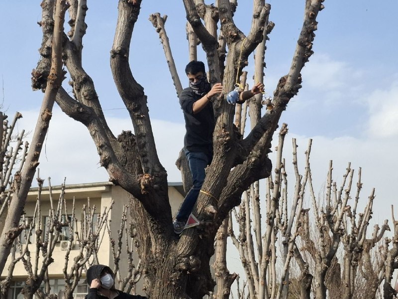 ️ گــارد شـــاهــنــشــاهــی ️: 👈رضا دالمن دانشجوی دانشگاه شریف به دلیل اعدام نمادین یک موش از دانشگاه شریف اخراج شد🔴هنوز مشخص نیست که آیا اعدام نمادین 