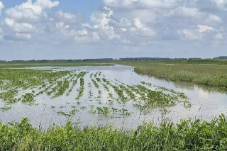В Крымском районе Кубани ввели режим ЧС из-за прорыва дамбыНа территории Троицкого, Киевского, Южного и Кеслеровского сельских поселений Крымского района Краснодарского края введен режим ЧС, сообщили в администрации района. Там уточнили, что поводом стал п