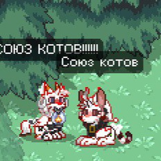 :Cats(=^ェ^=): Telegram Group Link