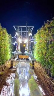 [Video] Mom says: “Since AI bots will kick office plankton out of offices, you should go to a  [...]