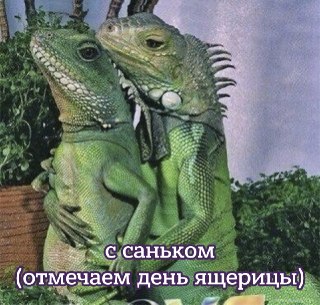 Сегодня отмечается Всемирный день ящерицы (World Lizard Day).Праздник посвящен защите этих пресмыкающихся, играющих важную роль в экосистеме нашей планеты.