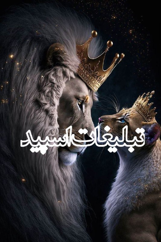 گروه دخترونه دوستیابی تبریز: ❶﹚ نام : T🕷⇝♨️𝐑𝐞𝐃𝐑𝐨𝐎𝐌♨️⇜❷﹚ نو؏ تبلیغات : #telegram❸﹚ توضیحات :T🕷XIC✨به ReDRo0M خوش اومدی...💎 محیطی لوکس و صمیمی🫂 آشنایی 