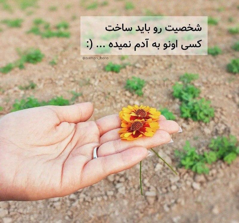 ❣️ دلنوشتهها: شخصیت رو باید ساخت کسی اونو به آدم نمیده....