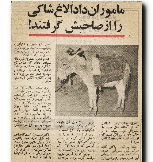 کتابخانۀ اندیشه🌻📚: داستان الاغی که به رئیس شهربانی نامه نوشت! ☺ سال 1352#حافظه_تاریخی@shahkar4🌻🌿🌻🌿