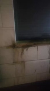 רשת חדשות ירושלים