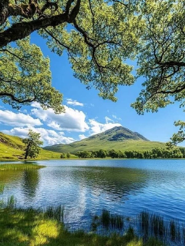 🌹👌سخنان ناب و پند آموز👌🌹: تو نمیتونی تصویرتو توی آب جوشان ببینی.به همین ترتیب وقتی عصبانی هستی هم نمیتونی حقیقتو ببینیوقتی آب آروم میشهوضوح و ش