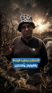 עקורה ממחנה טול-כרם נאחז באדמתו למרות עקירה והתנכלויות, ונאבק בחקלאות על רקע תנאים כלכליים קשים ואיום מתמיד…