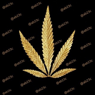 Telegram profile photo for 🅥白梦上头电子烟笑气七氟烷依托替来