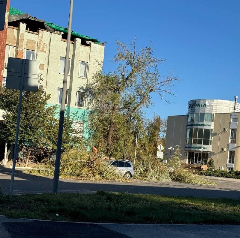 ובלוגנסק היום יש נפילת עץ עץ נפל ממש על מכונית חונה.