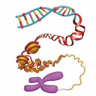 🇾🇪ملتقى محبي الاحياء Biology🇾🇪