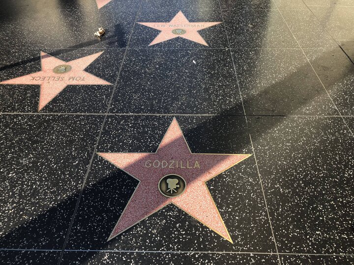 美利堅行旅│天使降臨之城