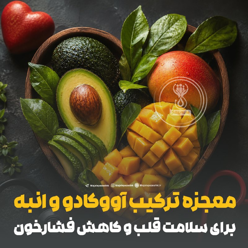 آموزشگاه طبی سید: معجزه ترکیب آووکادو و انبه برای سلامت قلب و کاهش فشارخون◽️ترکیب آووکادو و انبه میتواند عملکرد عروق خونی را بهبود دهد؛ م