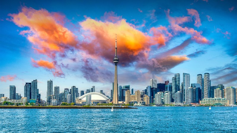 Lights, camera, TIFF '24!Toronto city skyline seen from Lake Ontario, Canada (© Roberto Machado Noa/Getty Images)