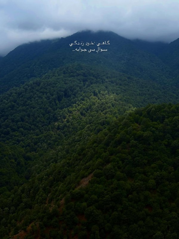 ژلوفن | gelofen: گاهي خود زندگي سوالِ بي جوابه…@gelofen | ژلـــوفـن