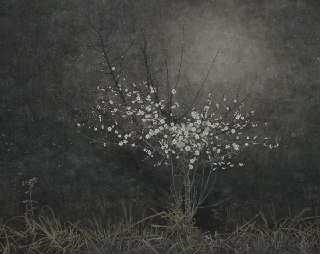 Maehara Mitsuo"Kanyabai"2003 #Mitsuo
