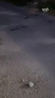 רשת חדשות ירושלים