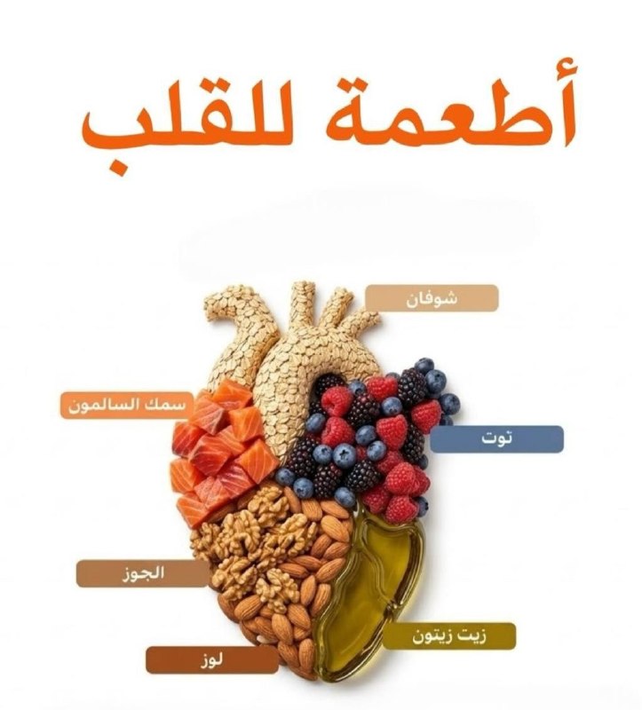 🇮🇶 חדשות אל נחיל 🇮🇶