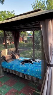 видео