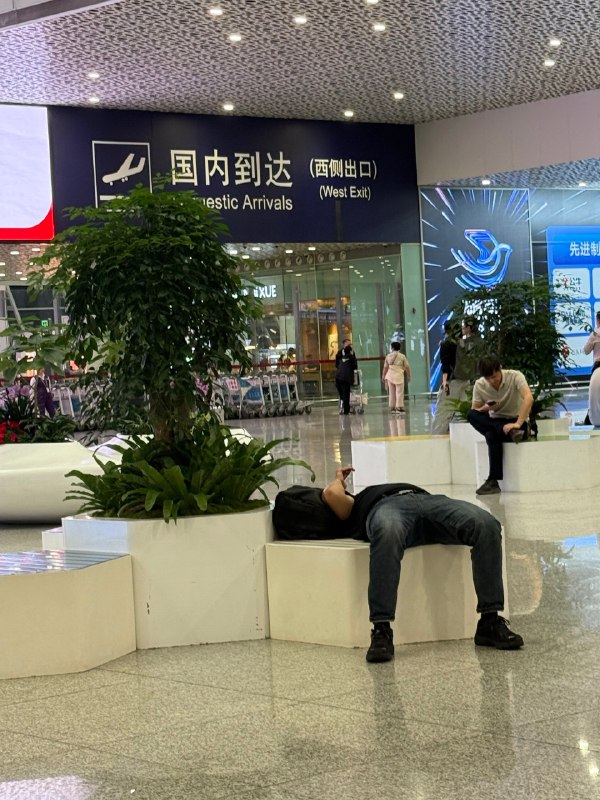 人类胳膊的本质：手机支架