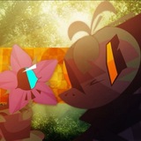 ᴍᴏᴀᴍ