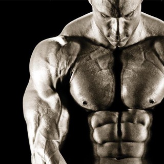 Bodybuilding & Fitness Books ebooks Telegram Group Link