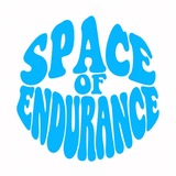 Space of Endurance • WEC, IMSA, GT