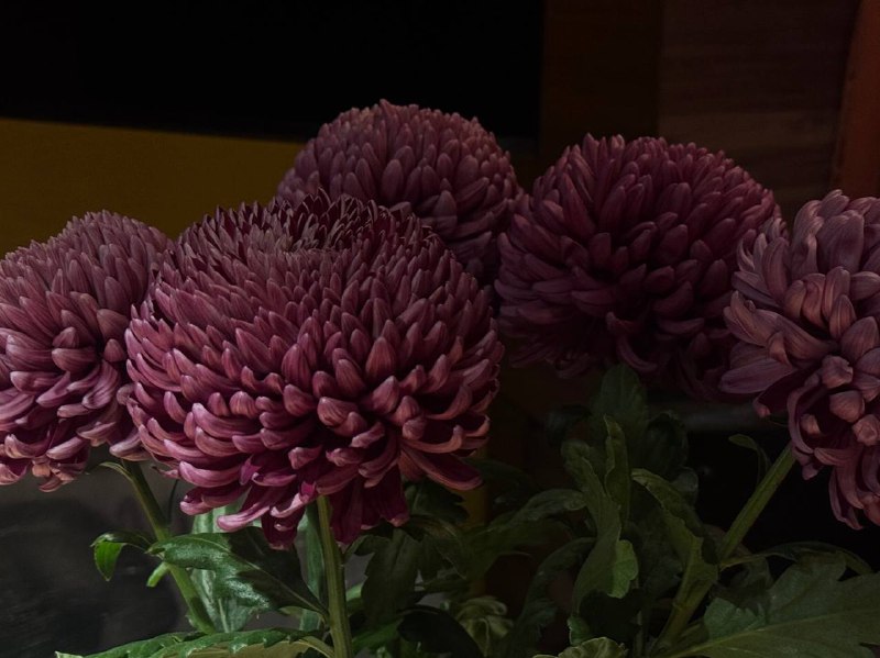 Дом милый дом — Питер 💘Дом милый дом — Питер 💘