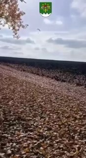 גבר אוקראיני נמלט מאוקראינה למולדובה על מצנח רחיפה ממונע. הוא נעצר על ידי שומרי הגבול של מולדובה כ-2 ק"מ מג…