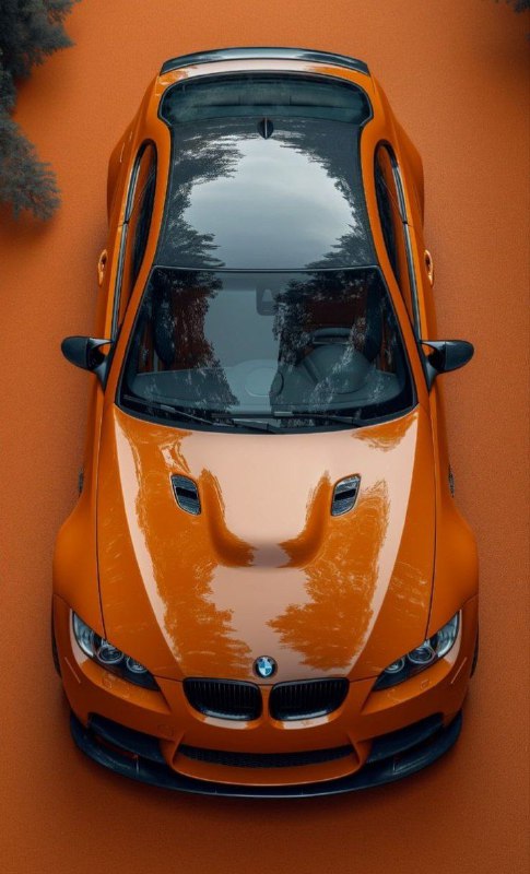 https://t.me/bmw_mpower_club