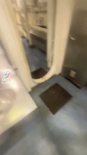 אסף רוזנצוייג