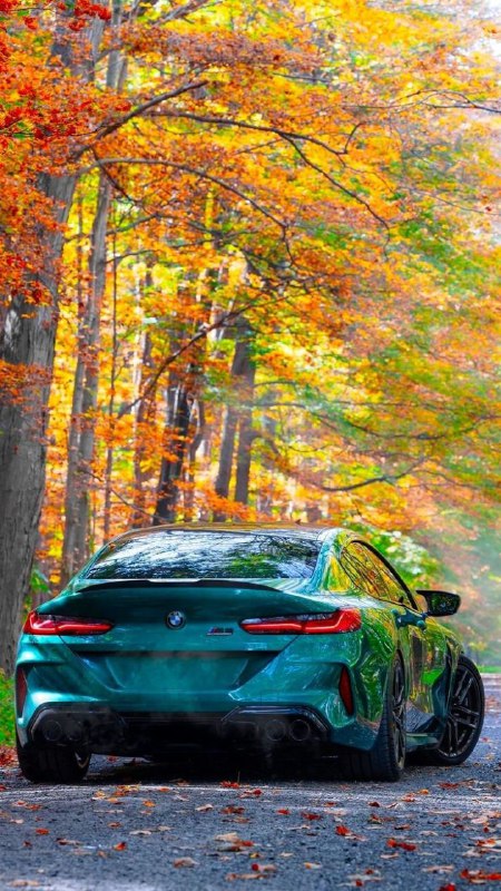 https://t.me/bmw_mpower_club