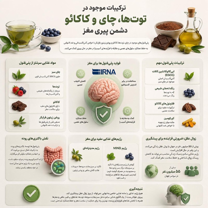 📋 מידע IRNA, התרכובות המצויות בפירות יער, תה וקקאו; האויב של הזדקנות המוח