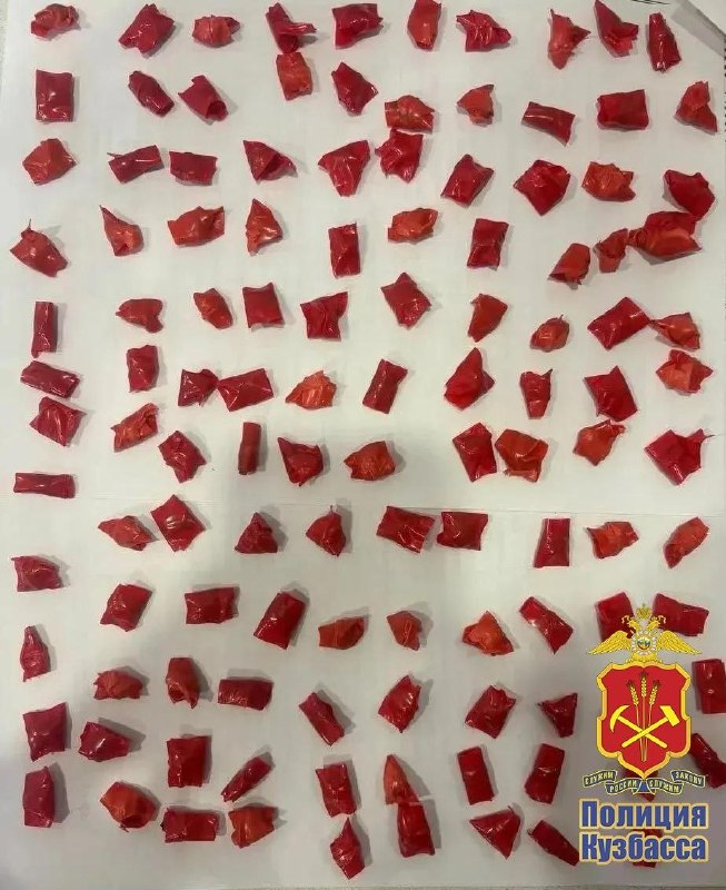 תושב קיסלבסק יישפט בגין ניסיון למכור מתדון גבר בן 40 נעצר ביולי בפרוקופייבסק. המשטרה מצאה את הטלפון שלו עם…
