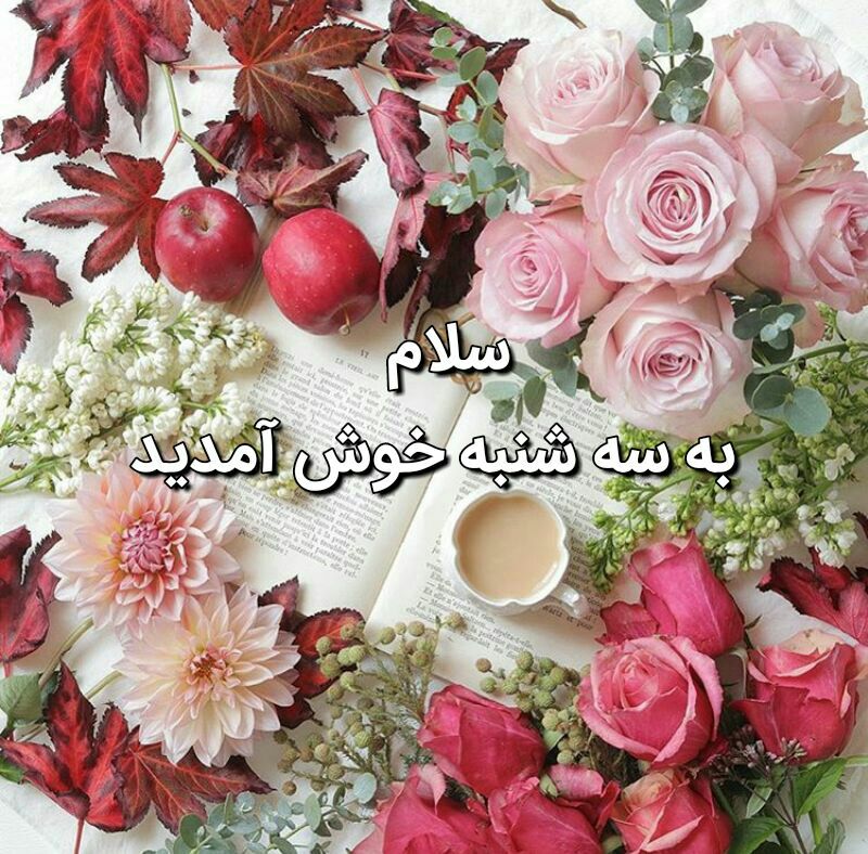 رنگت روخدااااایی کن: امروز☀️روز مهربونی خداست 💖بیایید خوبی هاراجمعبدی ها راتفریقشادی هارا ضرب غم هارا تقسیم ونفرت ها رااز قلب هایمان فاکتور