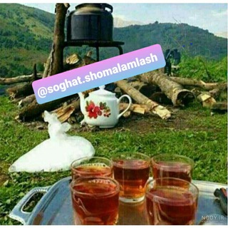 سوغات شمال املش