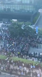 Meanwhile on Carnival Cruise. A zero impulse control culture. Why are they so often beating the crap out of each other?Follow us -> LiveLeak