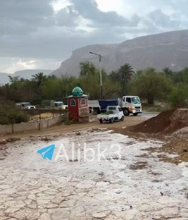 שיירות ענק של כוחות פרו-סעודיים נסוגות ממריב למוקלה