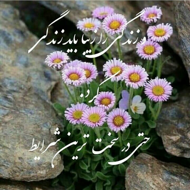 عرفان: زندگی را زیبا باید زندگی کرد حتی در سخت ترین شرایط