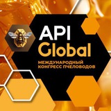 ApiGLOBAL•СППР