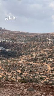 الاحتلال يحاصر منازل في قصرة للعوم الثامن على التوالي