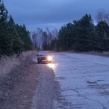 Будни Потапчика