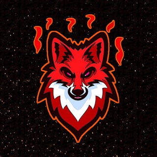 🔥Fox | TV🔥