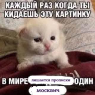 Тверской район стал лидером по ценам на новостройки в Москве. Средняя цена 1 кв. м первичного жилья в этом районе составила 3,39 млн руб., пишет «РБК Недвижимость» со ссылкой на данные аналитиков.Второе место с показателем 3,09 млн руб. за «квадрат» заняли